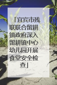 宜宾市残联联合留耕镇政府深入留耕镇中心幼儿园开展食堂安全检查