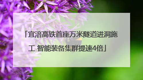 宜涪高铁首座万米隧道进洞施工 智能装备集群提速4倍