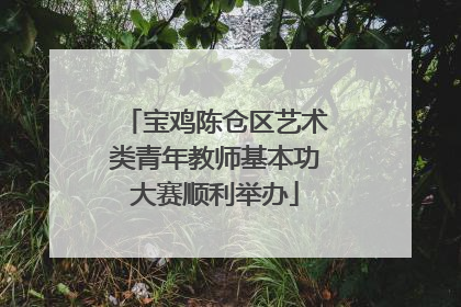 宝鸡陈仓区艺术类青年教师基本功大赛顺利举办