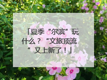夏季“尔滨”玩什么？“文旅顶流”又上新了！