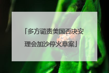 多方谴责美国否决安理会加沙停火草案