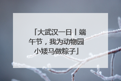 大武汉一日丨端午节，我为动物园小矮马做粽子