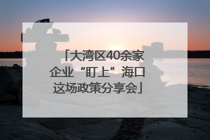 大湾区40余家企业“盯上”海口这场政策分享会