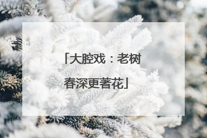大腔戏：老树春深更著花