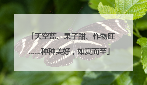 天空蓝、果子甜、作物旺……种种美好，如夏而至