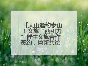 天山邀约泰山！文旅“西引力”催生文旅合作签约，鲁新共绘丝路诗与远方