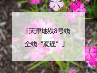 天津地铁8号线全线“洞通”