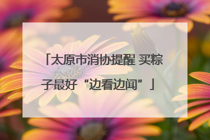 太原市消协提醒 买粽子最好“边看边闻”