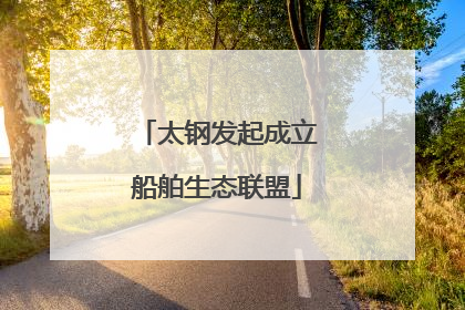 太钢发起成立船舶生态联盟