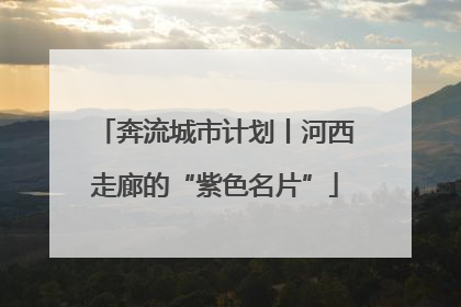 奔流城市计划丨河西走廊的“紫色名片”