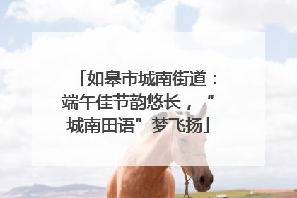 如皋市城南街道：端午佳节韵悠长，“城南田语”梦飞扬