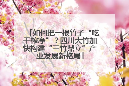 如何把一根竹子“吃干榨净”？四川大竹加快构建“三竹鼎立”产业发展新格局