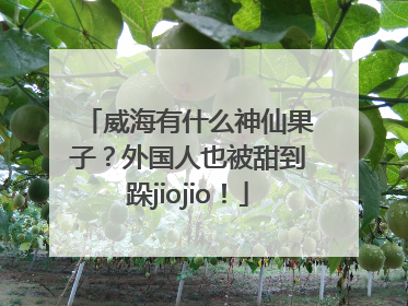 威海有什么神仙果子？外国人也被甜到跺jiojio！