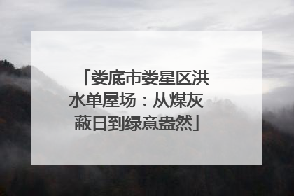 娄底市娄星区洪水单屋场：从煤灰蔽日到绿意盎然