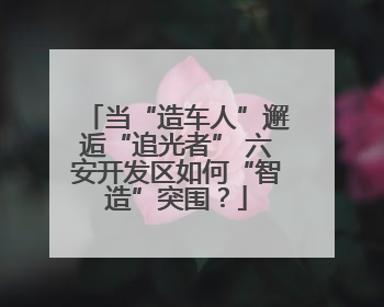 当“造车人”邂逅“追光者” 六安开发区如何“智造”突围？