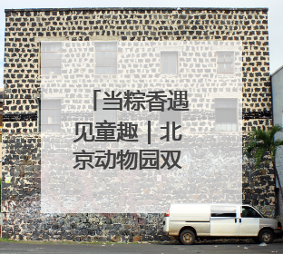 当粽香遇见童趣｜北京动物园双节狂欢指南来啦！