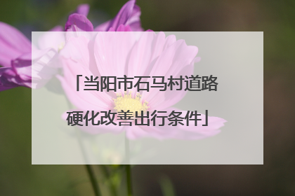 当阳市石马村道路硬化改善出行条件