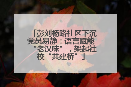 彭刘杨路社区下沉党员易静：语言赋能“老汉味”，架起社校“共建桥”