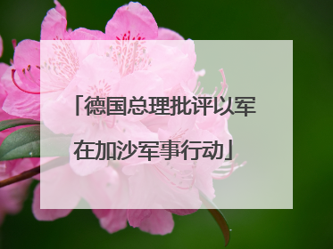德国总理批评以军在加沙军事行动