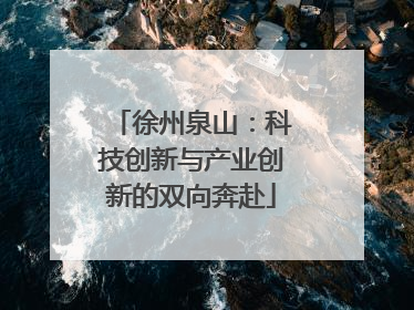徐州泉山：科技创新与产业创新的双向奔赴