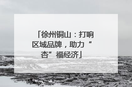 徐州铜山：打响区域品牌，助力“杏”福经济