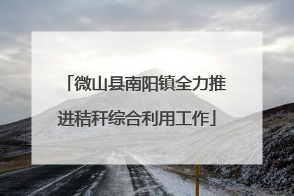 微山县南阳镇全力推进秸秆综合利用工作