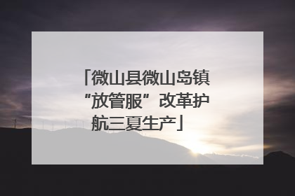 微山县微山岛镇“放管服”改革护航三夏生产