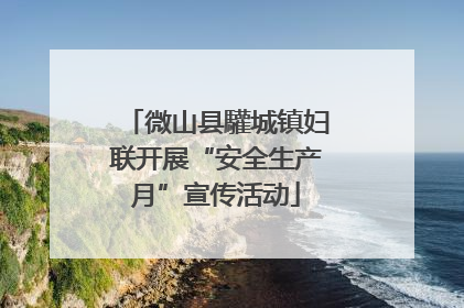 微山县驩城镇妇联开展“安全生产月”宣传活动