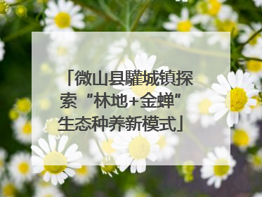 微山县驩城镇探索“林地+金蝉”生态种养新模式