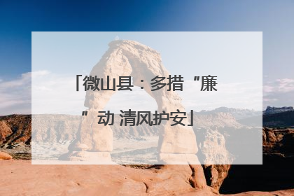 微山县：多措“廉”动 清风护安