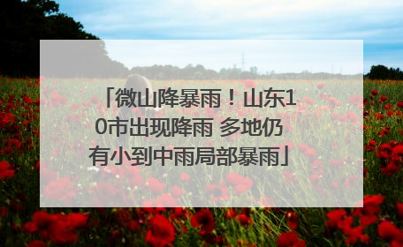 微山降暴雨！山东10市出现降雨 多地仍有小到中雨局部暴雨