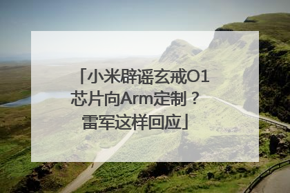 小米辟谣玄戒O1芯片向Arm定制？雷军这样回应