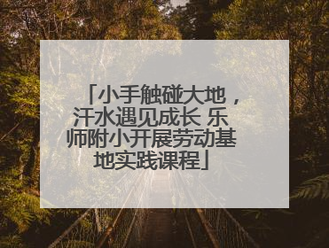 小手触碰大地，汗水遇见成长 乐师附小开展劳动基地实践课程