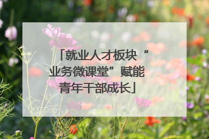 就业人才板块“业务微课堂”赋能青年干部成长
