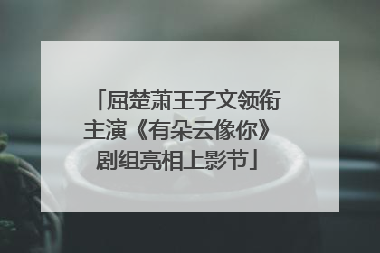 屈楚萧王子文领衔主演《有朵云像你》剧组亮相上影节