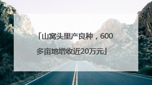 山窝头里产良种，600多亩地增收近20万元