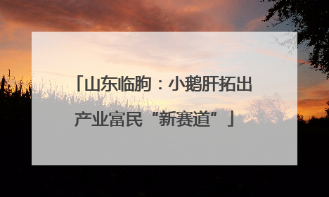 山东临朐：小鹅肝拓出产业富民“新赛道”