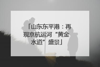 山东东平港：再现京杭运河“黄金水道”盛景