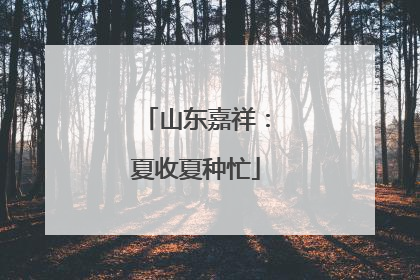 山东嘉祥：夏收夏种忙