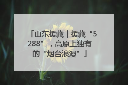 山东援藏｜援藏“5288”，高原上独有的“烟台浪漫”