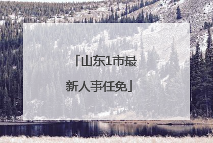 山东1市最新人事任免