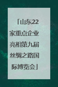 山东22家重点企业亮相第九届丝绸之路国际博览会