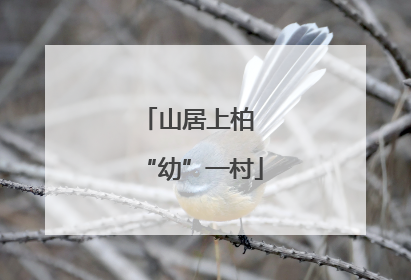 山居上柏 “幼”一村