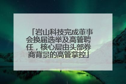 岩山科技完成董事会换届选举及高管聘任，核心层由头部券商背景的高管掌控