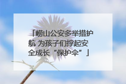崂山公安多举措护航 为孩子们撑起安全成长“保护伞”