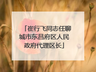 崔行飞同志任聊城市东昌府区人民政府代理区长