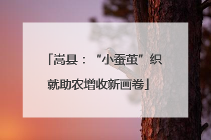 嵩县：“小蚕茧”织就助农增收新画卷