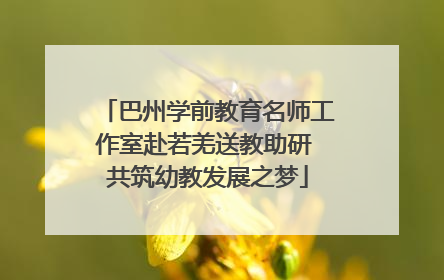 巴州学前教育名师工作室赴若羌送教助研 共筑幼教发展之梦