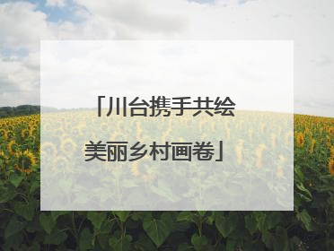 川台携手共绘美丽乡村画卷