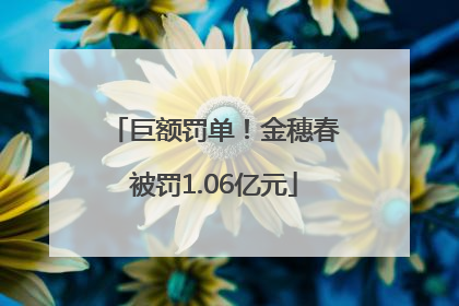 巨额罚单！金穗春被罚1.06亿元
